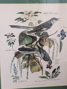 lot 221 image: Framed Bird Print and Decorative Brass Cage