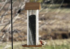 lot 20 image: Enchanted Garden Tower Wood Bird Feeder