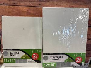 Lot of Art Canvases
