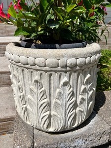 lot 21 image: Cement Planter with BONUS Mandevilla Plant