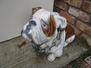 Cement Bulldog