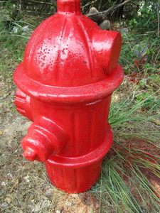 Fire Hydrant - Cement