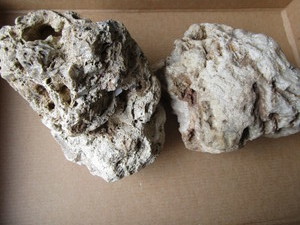 Holey Rocks