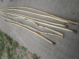 Diamond Willow Pieces