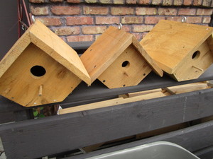 New Wren Houses