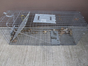 Havahart Live Cage