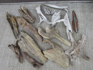 Driftwood Collection