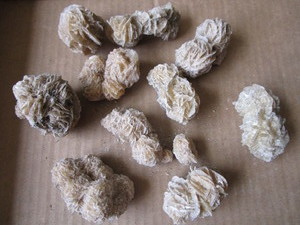 Gypsum Specimens