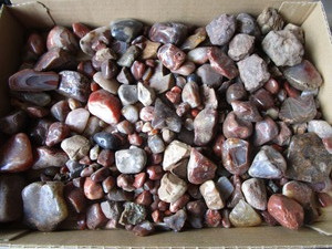 Polished & Unpolished Stones