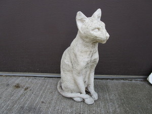 Cement Cat