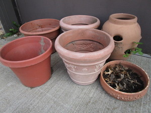 Planters Clay & Plastic Sets