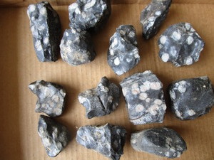 Snowflake Rocks