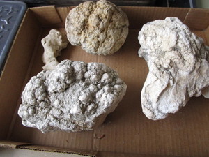 Cauliflower Stones, Thunder Egg