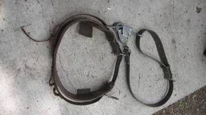 Safety Belt