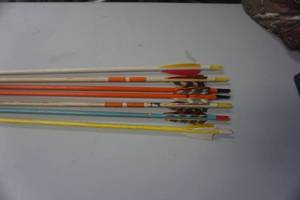 lot 33 image: 7 - 26 Cedar Target Arrows