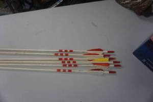 lot 34 image: 6 - 26 Cedar Target Arrows