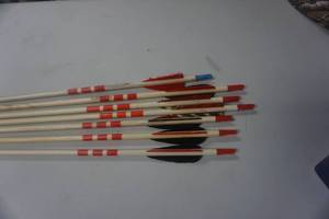 lot 35 image: 7 - 26 Cedar Target Arrows
