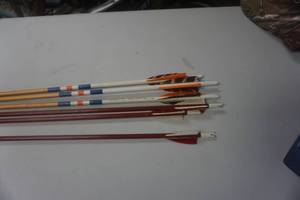lot 36 image: 6 - 26 Cedar Target Arrows