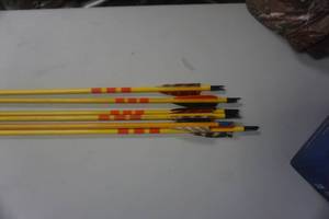 lot 37 image: 6 - 26 Cedar Target Arrows