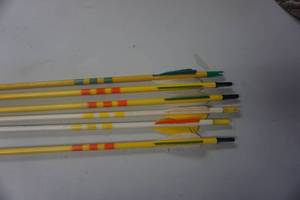 lot 39 image: 6 - 28 Cedar Target Arrows