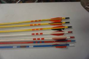 lot 40 image: 7 - 28 Cedar Target Arrows