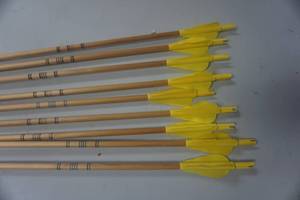 lot 108 image: 8 - 29 Cedar Target Arrows