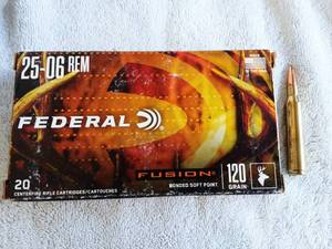 lot 25 image: 20 Count 25-06 Remington Shotgun Shells