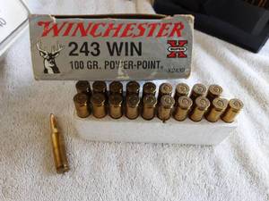lot 27 image: 20-243 Winchester Super X Shotgun Shells