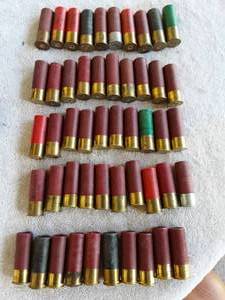 lot 42 image: 50 Assorted 12 Gauge Shotgun Shells Mostly 2 34 (Some 3)