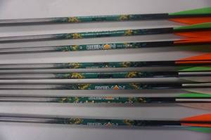 lot 15 image: 9 - Beman Brand ICS Hunter VIBrake 27 Arrows