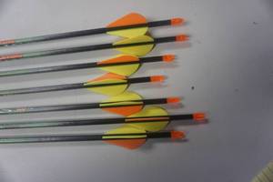 lot 16 image: 7 - Easton Axis Arrows