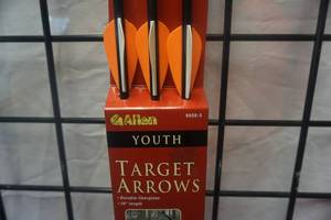 lot 42 image: Allen Model 9026 26 3 PackYouth Fiberglass Target Arrows