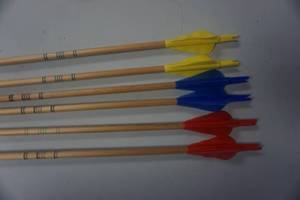 lot 49 image: 6 - 29 Cedar Target Arrows