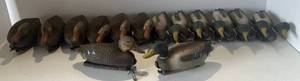 lot 71 image: Group Of ( Carry Lite Made In Italy ) Plastic Molded Decoys (  Mallards  ) 7 Drakes 7 Females