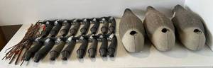 lot 78 image: 16 Canadian Goose Striaght Neck Field Decoys With Stakes & Mesh Bag
