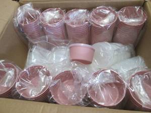 Case of 250 Gmax Rose 8 oz Denture Cups...