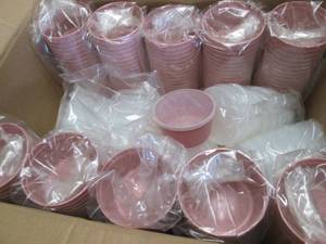 Case of 250 Gmax Rose 8 oz Denture ...