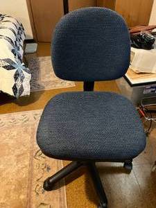 Rolling Adjustable Desk Chair