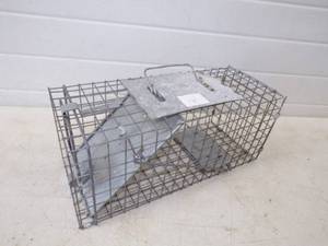 Small Live Trap