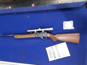 Daisy air rifle