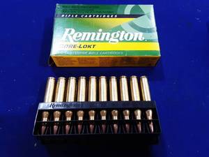 20 rounds Remington 25-06 ammo