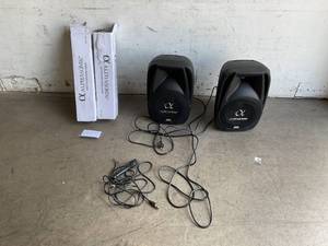 lot 8 image: Alphasonik Pair of All-in-one 10 Powered 1000W PRO DJ Amplified Loud Speakers with Bluetooth USB SD Card AUX MP3 FM Radio PA System LED Lights Karaoke Mic Guitar Amp 2 Tripod Stands Cable and Microphone