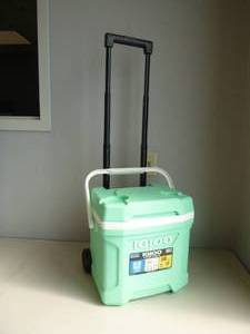 lot 343 image: Igloo Latitude 16 qt. Mint Roller Cooler