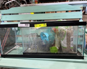 Small Animal Aquariums