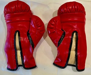 lot 83 image: Everlong Gold Tag Boxing Gloves