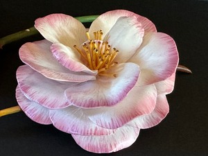 lot 219 image: Two Vintage Beautiful Porcelain Flower Figurines