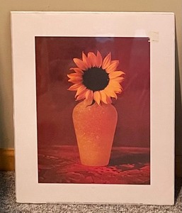 lot 456 image: Two Beautiful Unframed Floral Prints