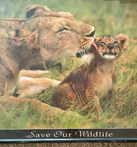 lot 469 image: Save Our Wildlife Framed Print