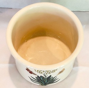 lot 66 image: Vintage Portmeirion The Botanic Garden Barbadoes Aloe Planter