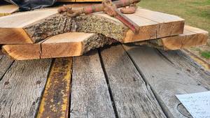 Black Walnut Wood Slab